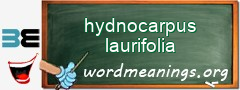 WordMeaning blackboard for hydnocarpus laurifolia